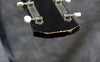 1965 Harmony H22