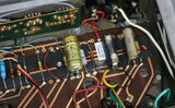 1967 Ampeg B15NF