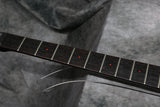 1984 Westone Quantum
