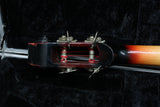Ampeg AEB-1