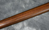 2001 Warwick Thumb NT5
