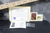 2008 G&L ASAT Bass - Black