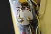 1973 Fender Telecaster, Blonde